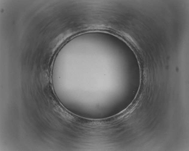 X0000062601212200512211102