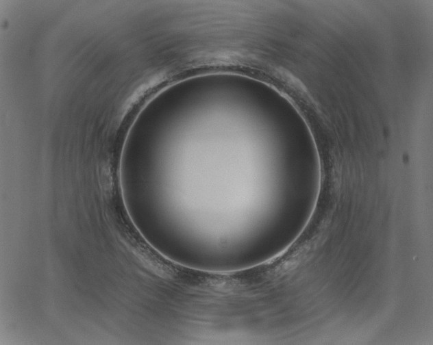 X0000062601218200512211102