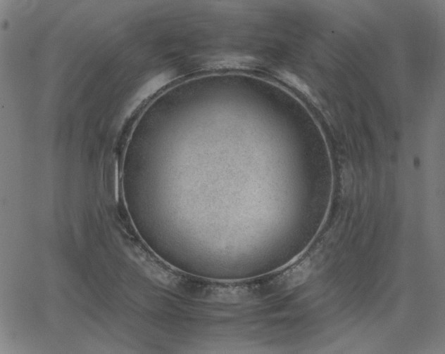 X0000062601219200512211102