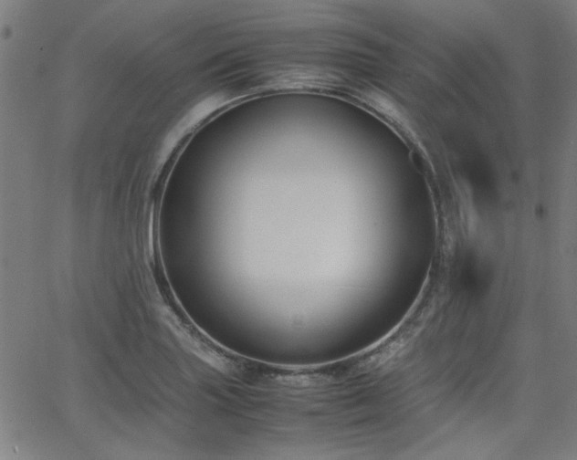 X0000062601227200512211102