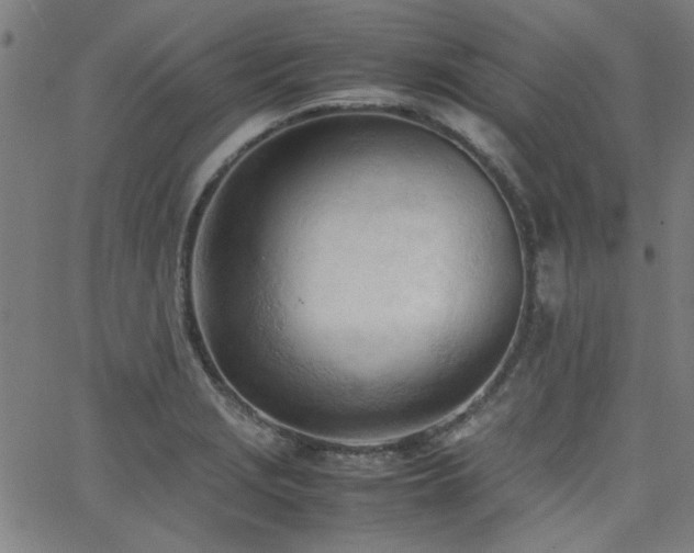 X0000062601229200512211102