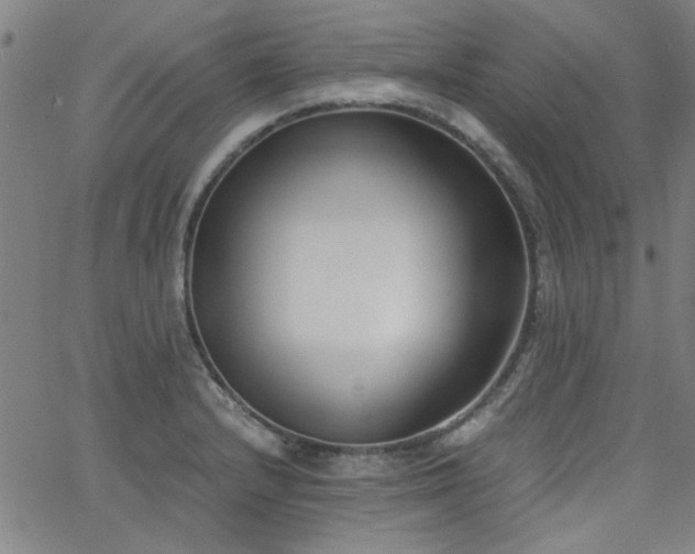 X0000062601232200512211102