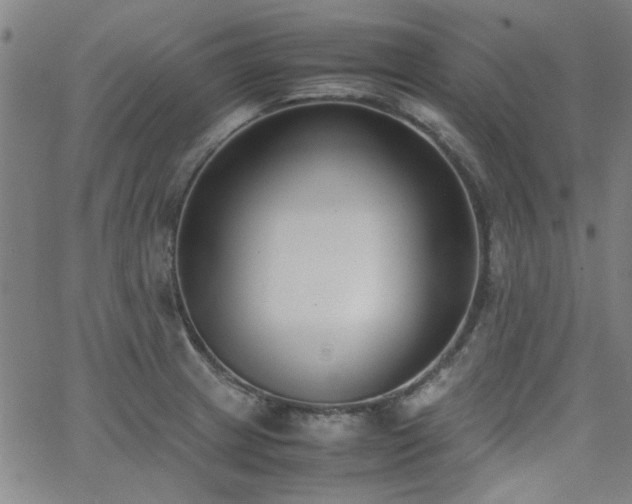 X0000062601233200512211102