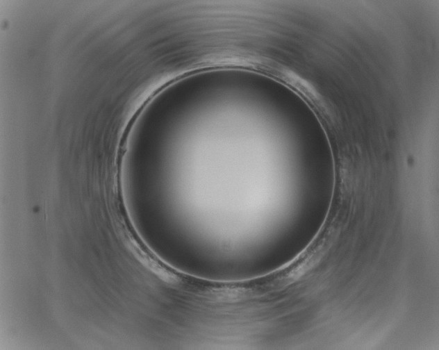 X0000062601236200512211102