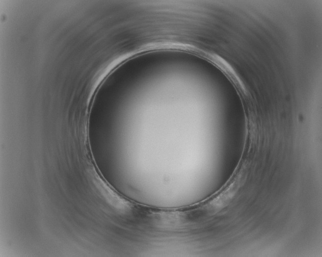 X0000062601244200512211102