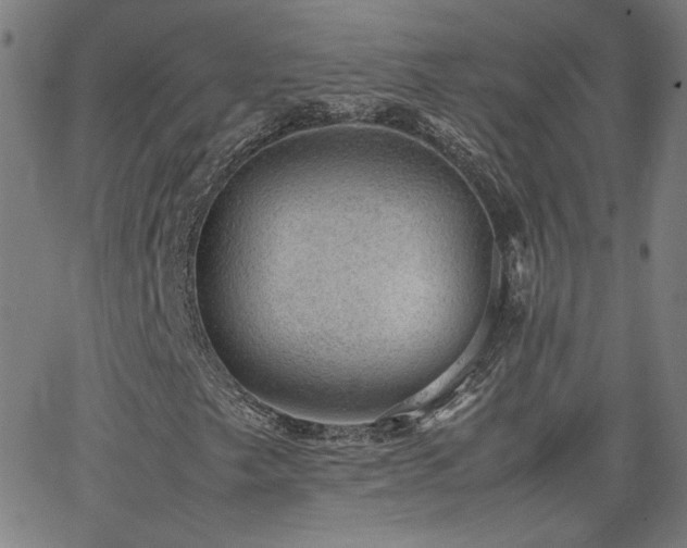 X0000062601249200512211101