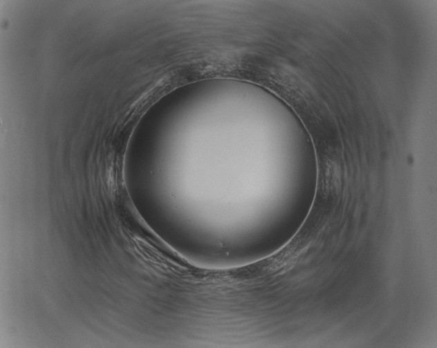 X0000062601250200512211101