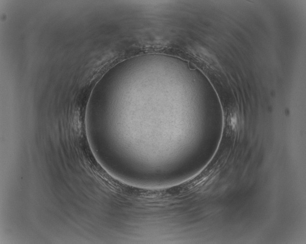 X0000062601252200512211101