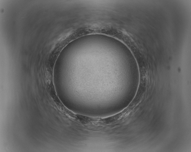 X0000062601253200512211101