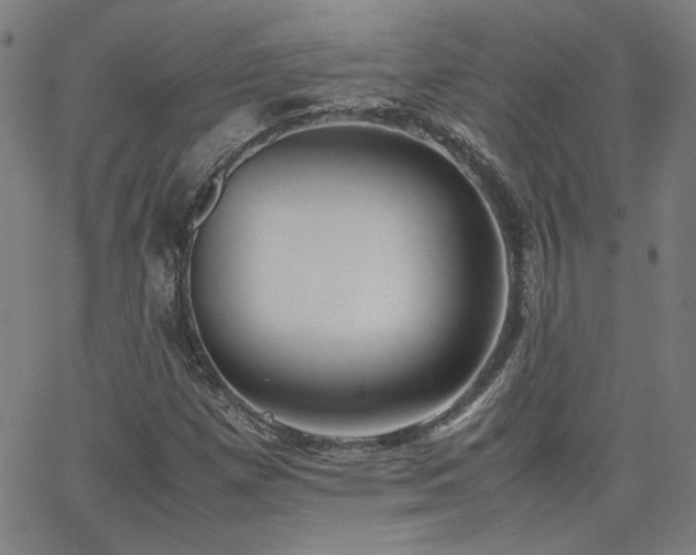 X0000062601257200512211101