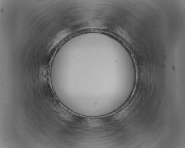 X0000062601258200512211101
