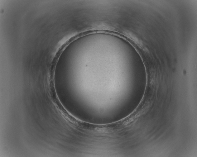 X0000062601264200512211101