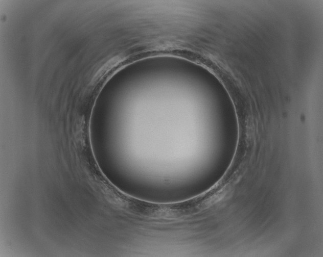 X0000062601265200512211101