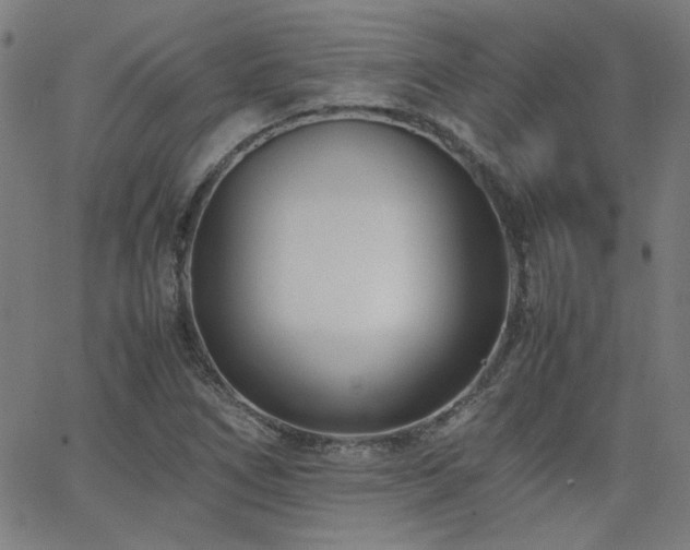 X0000062601266200512211101