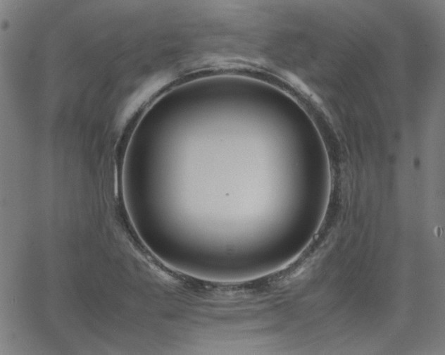 X0000062601269200512211101