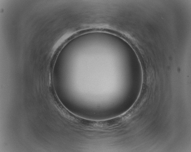 X0000062601271200512211101