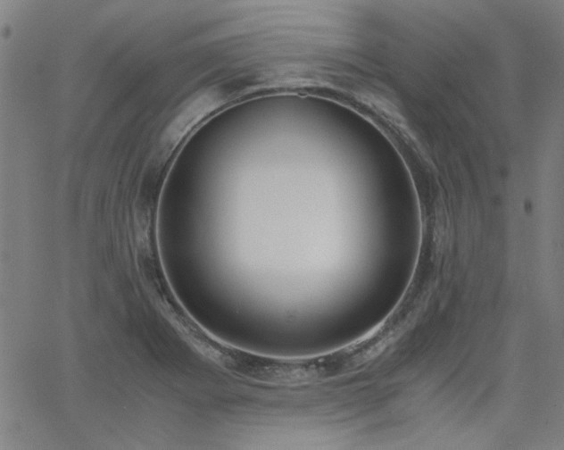 X0000062601273200512211101