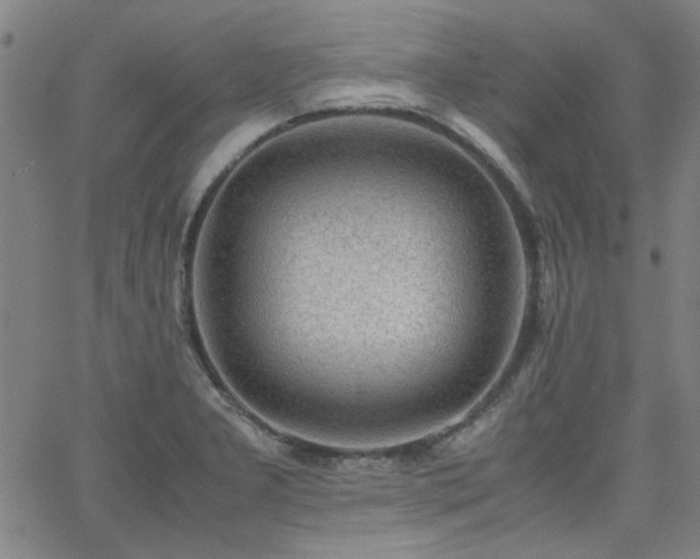 X0000062601277200512211101