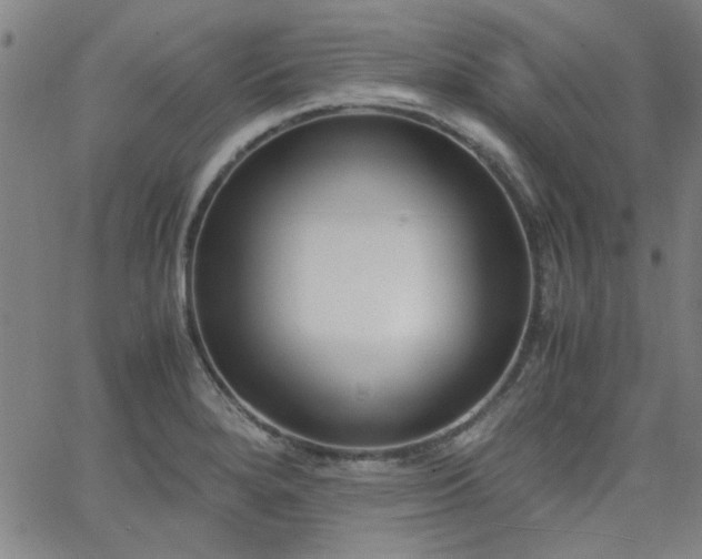 X0000062601280200512211101