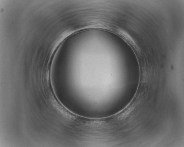 X0000062601284200512211101