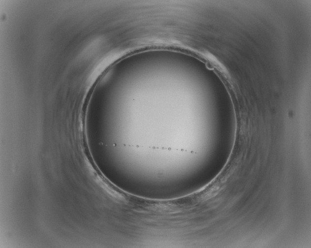 X0000062601287200512211101