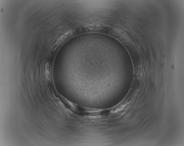 X0000062601298200512211100