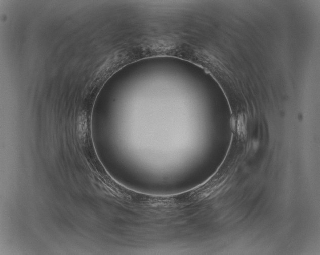 X0000062601299200512211100