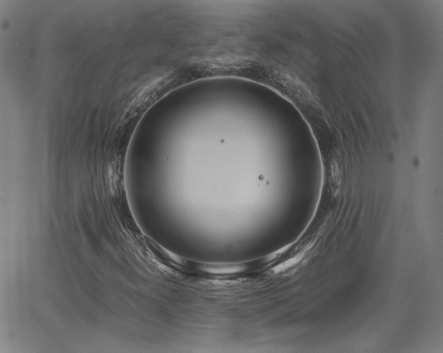 X0000062601300200512211100