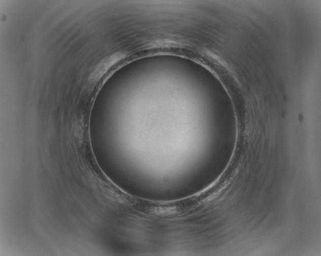 X0000062601313200512211100