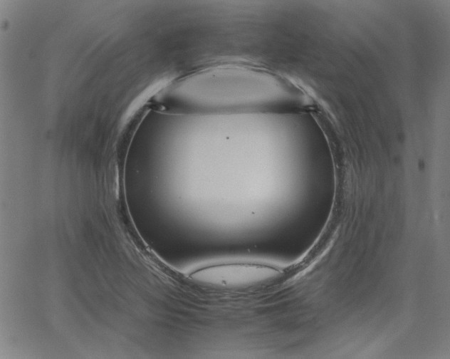 X0000062601317200512211100