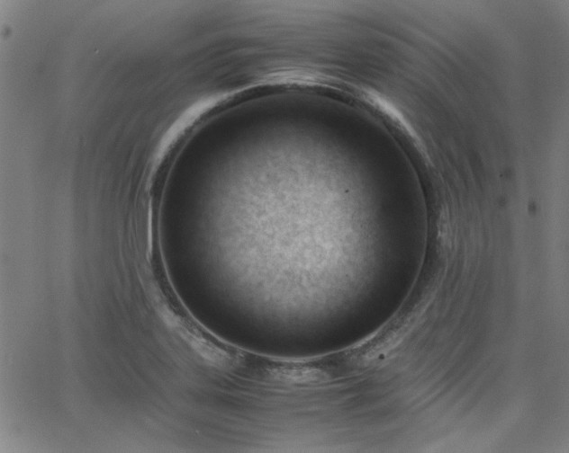 X0000062601323200512211100