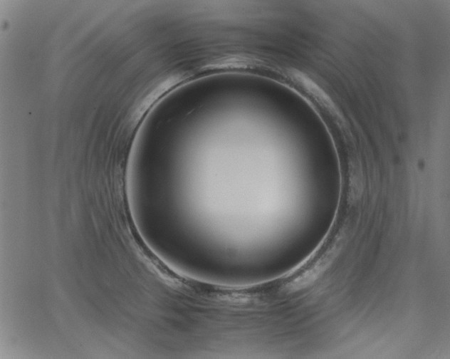 X0000062601329200512211100