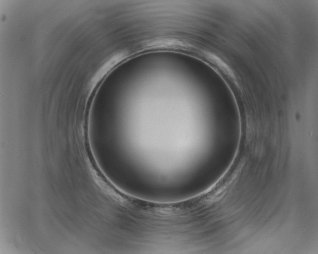 X0000062601330200512211100