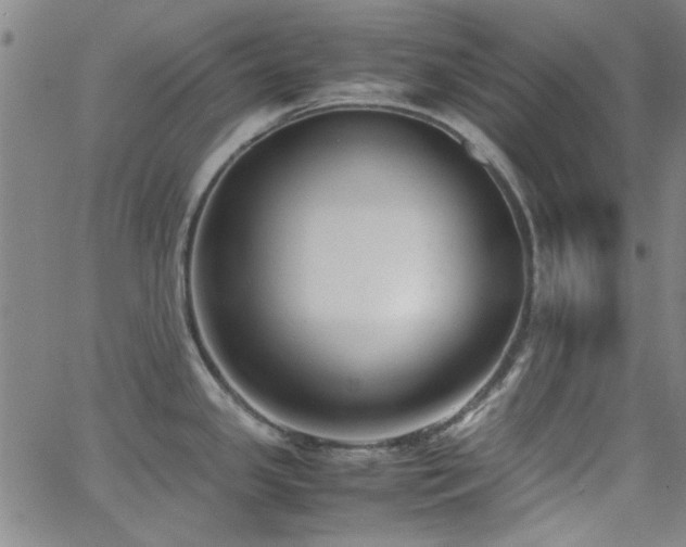 X0000062601341200512211100