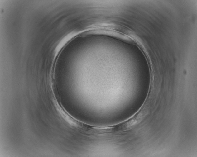 X0000062601344200512211100