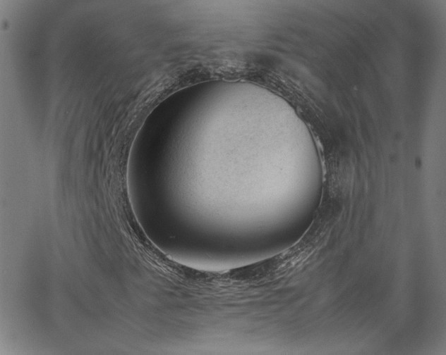 X0000062601345200512211100