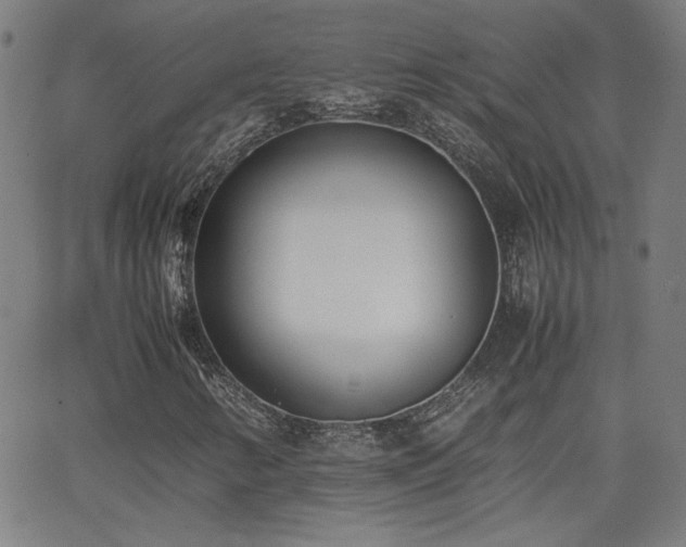 X0000062601346200512211100