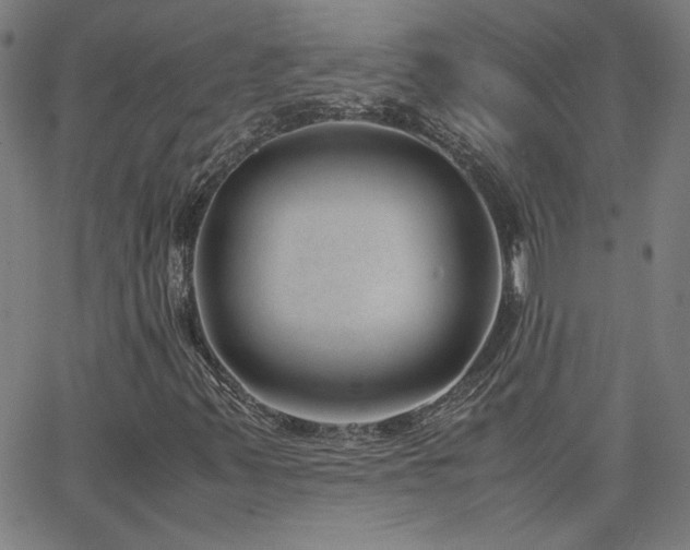 X0000062601347200512211100