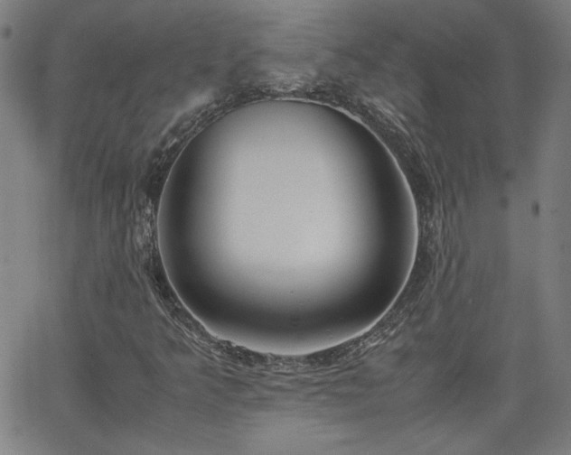 X0000062601349200512211100