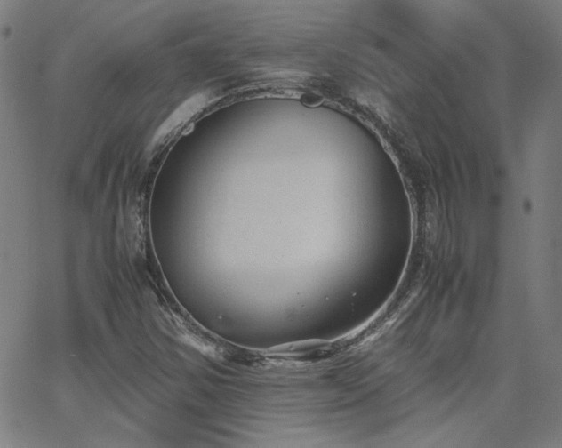 X0000062601354200512211100