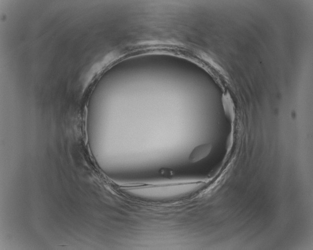 X0000062601357200512211059