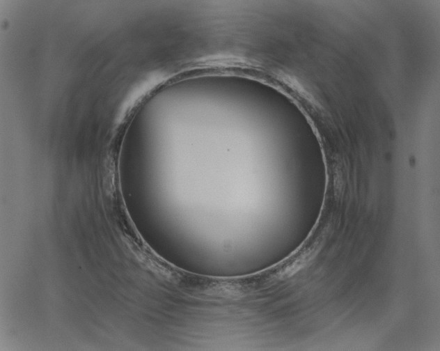 X0000062601358200512211059