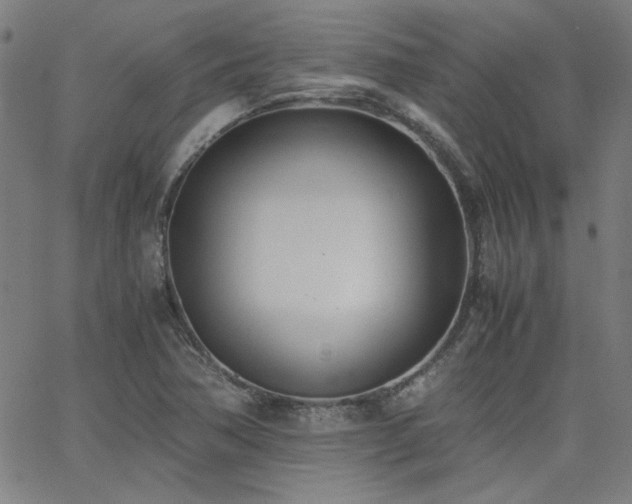 X0000062601362200512211059