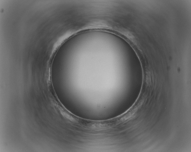 X0000062601366200512211059