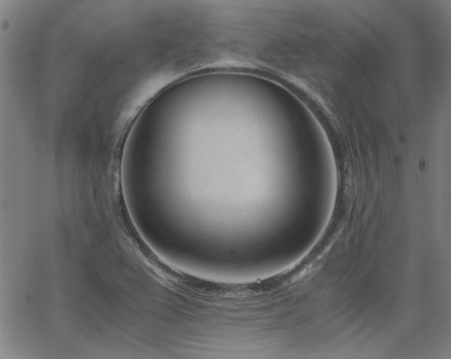 X0000062601367200512211059