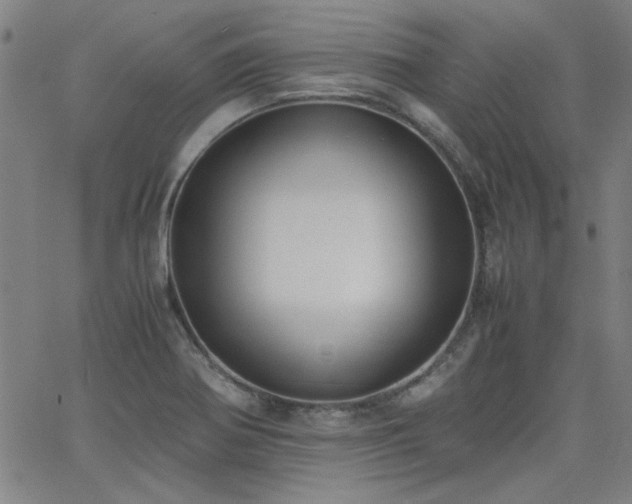 X0000062601370200512211059