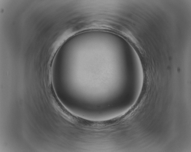 X0000062601371200512211059