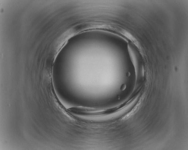 X0000062601377200512211059