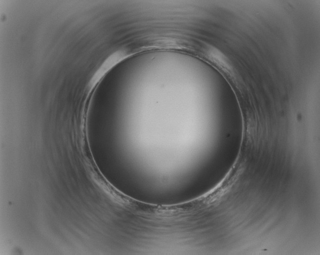 X0000062601378200512211059