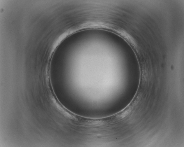 X0000062601382200512211059